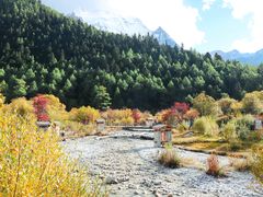 -稻城亚丁景区-冲古草甸
