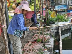 -同銮特种养殖场·龙虾垂钓