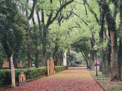 -桂林独秀峰王城景区
