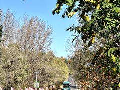 -帽儿山国家森林公园