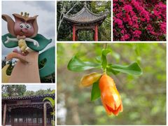 -深圳国际园林花卉博览园