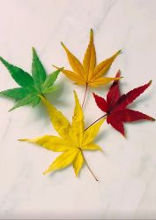 -尚圣月子会所·庄园式月子中心(萧山湘湖店)