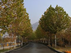 -天鹅湖生态旅游风景区