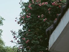 -她说户外烧烤团建(西湖店)