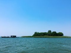 -微山湖红荷湿地景区
