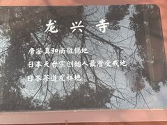 -龙兴寺