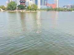 -迎泽公园