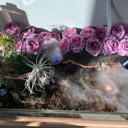 -Lumi露米·美甲美睫品质店