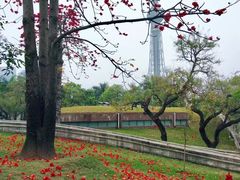 -文华公园(禅城区)