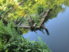 -深圳仙湖植物园