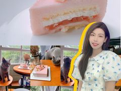 -壹点壹客·生日蛋糕(南山店)