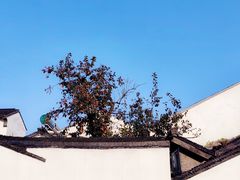 -北寺塔