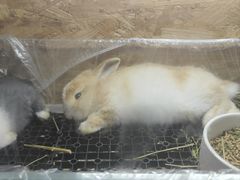 -姑苏二十四集(iD PARK 歌林公园店)