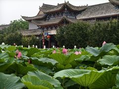 -大悲禅寺