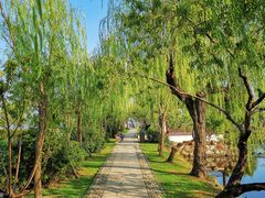 -无锡蠡湖国家湿地公园-蠡园