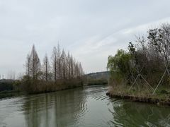 -白塔湖国家湿地公园