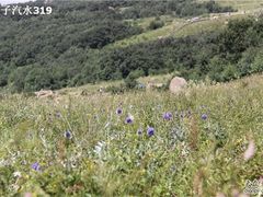 -白草畔自然风景区