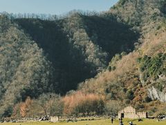 -狮子沟牧场