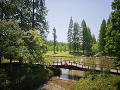 -黄海国家森林公园