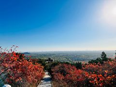 -北京西山国家森林公园