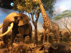 -陕西自然博物馆