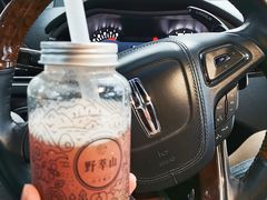 -野萃山·潮汕厚果汁(十亩地店)