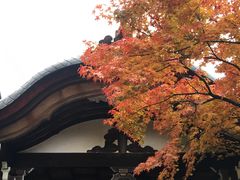 -医王山·飞騨国分寺