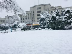 -安徽大学(龙河校区)