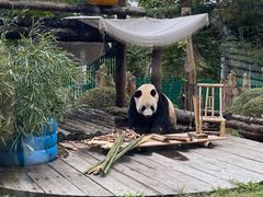 -大连森林动物园
