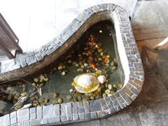 -同仁四季椰子鸡(海岸城天利店)