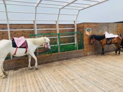 -小蜜蜂农场(凯德七宝购物广场店)