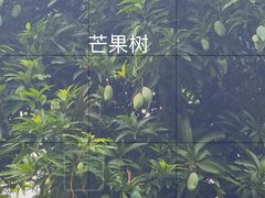 -黄埔古港