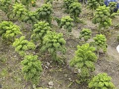 -中国天府农业博览园