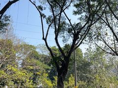 -滴水岩森林公园