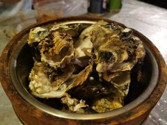 -狮龙啤酒烧烤屋(建二路店)
