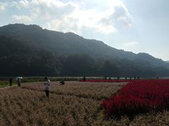 -广州市石门国家森林公园