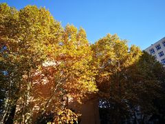 -西安石油大学(雁塔校区)