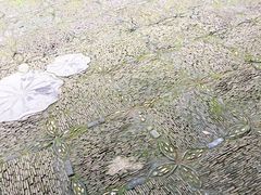 -汇龙潭