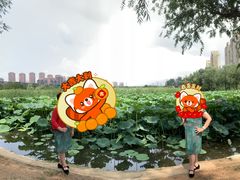 -前关湿地公园