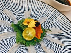 河豚刺身-肆月河豚·新淮扬(金融街店)