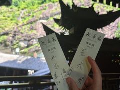 -楠溪江风景名胜区