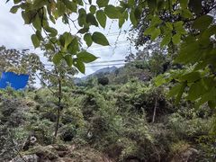 -藏龙百瀑风景区