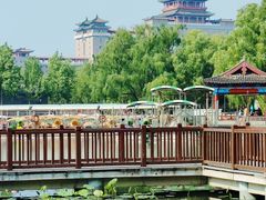 -莲花池公园