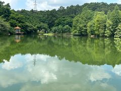 -华南植物园停车场