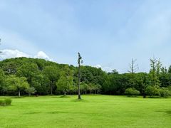 -长广溪湿地公园