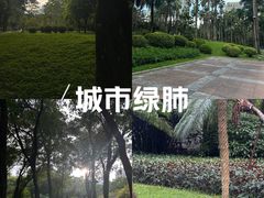 -广州珠江公园