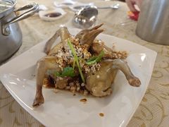 -百利鸽王(紫薇路店)