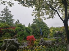 -上海鲜花港