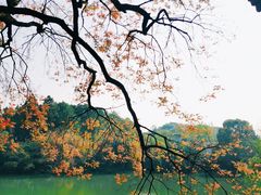 -八大山人梅湖景区