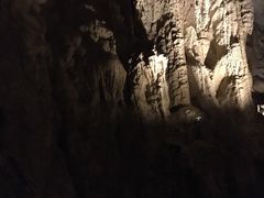 -怀托摩萤火虫洞